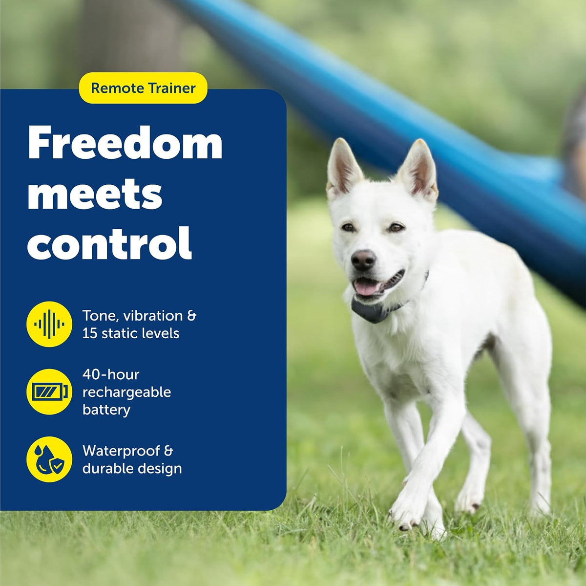 PetSafe 300 Yard Remote Training Collar Lite