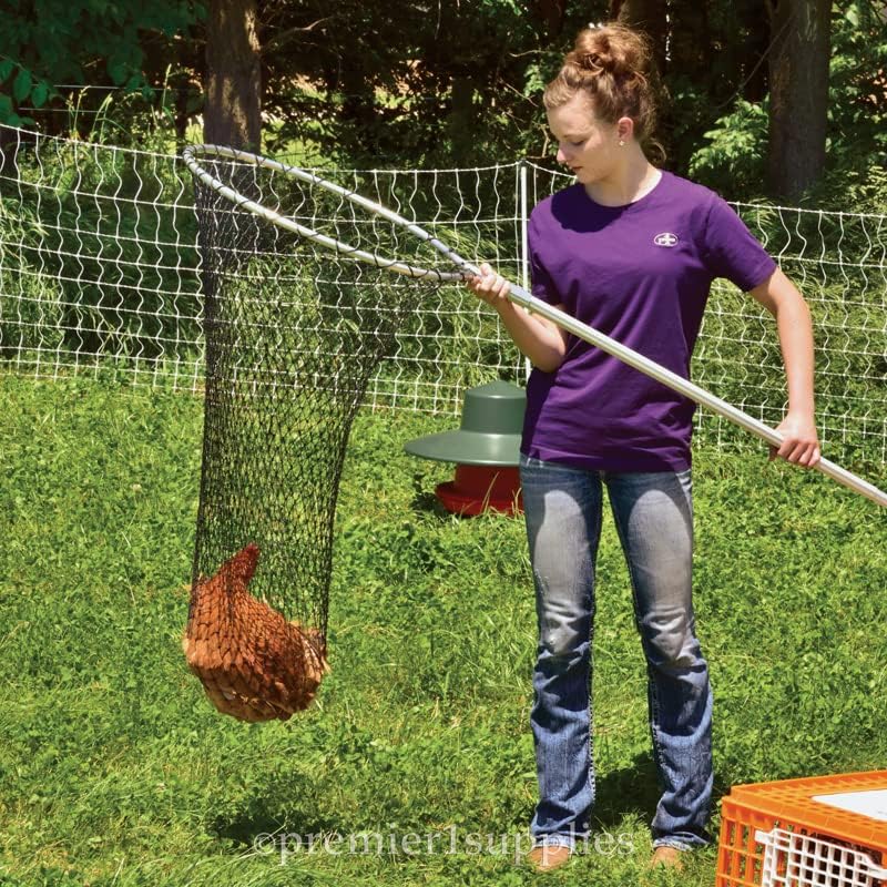Premier EZ Catch Net for Chicken Handling (37"- 57" Handle with 23" Net Opening & Teardrop Mesh)