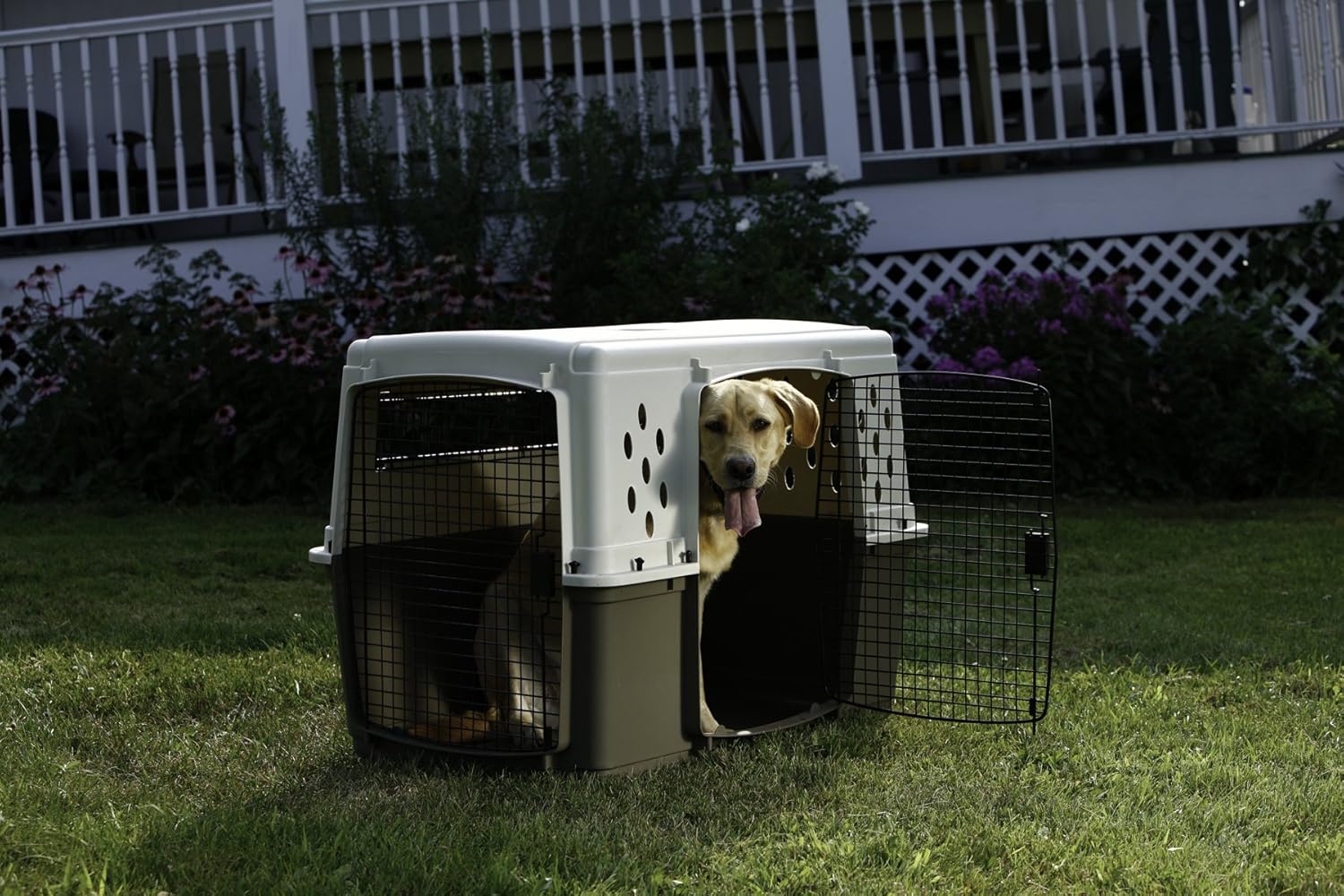 MILLER XLARGE DBL DOOR CRATE