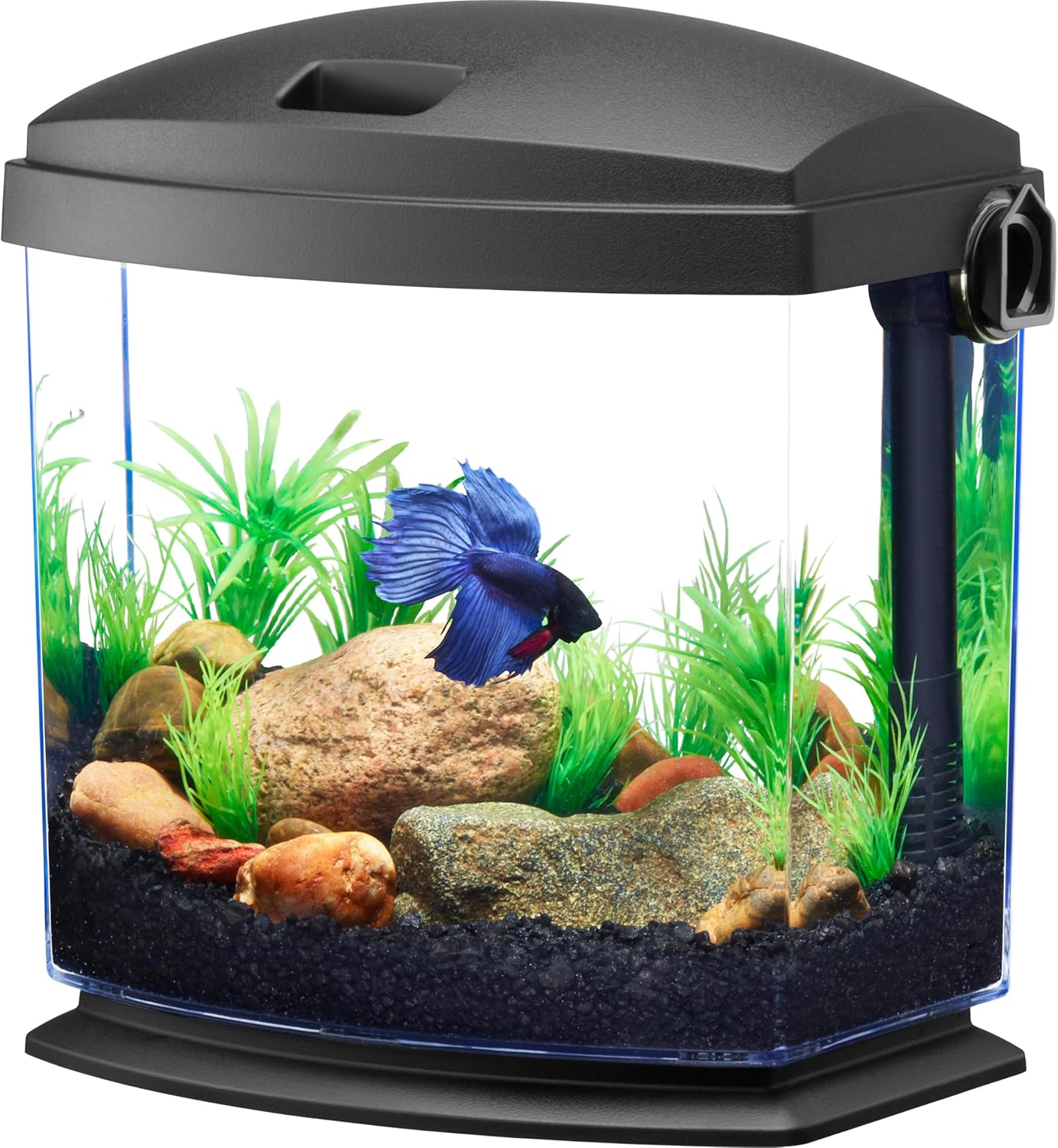Aqueon BettaBow with Quick Clean Technology Aquarium Kit, Black Black 1 Gallon
