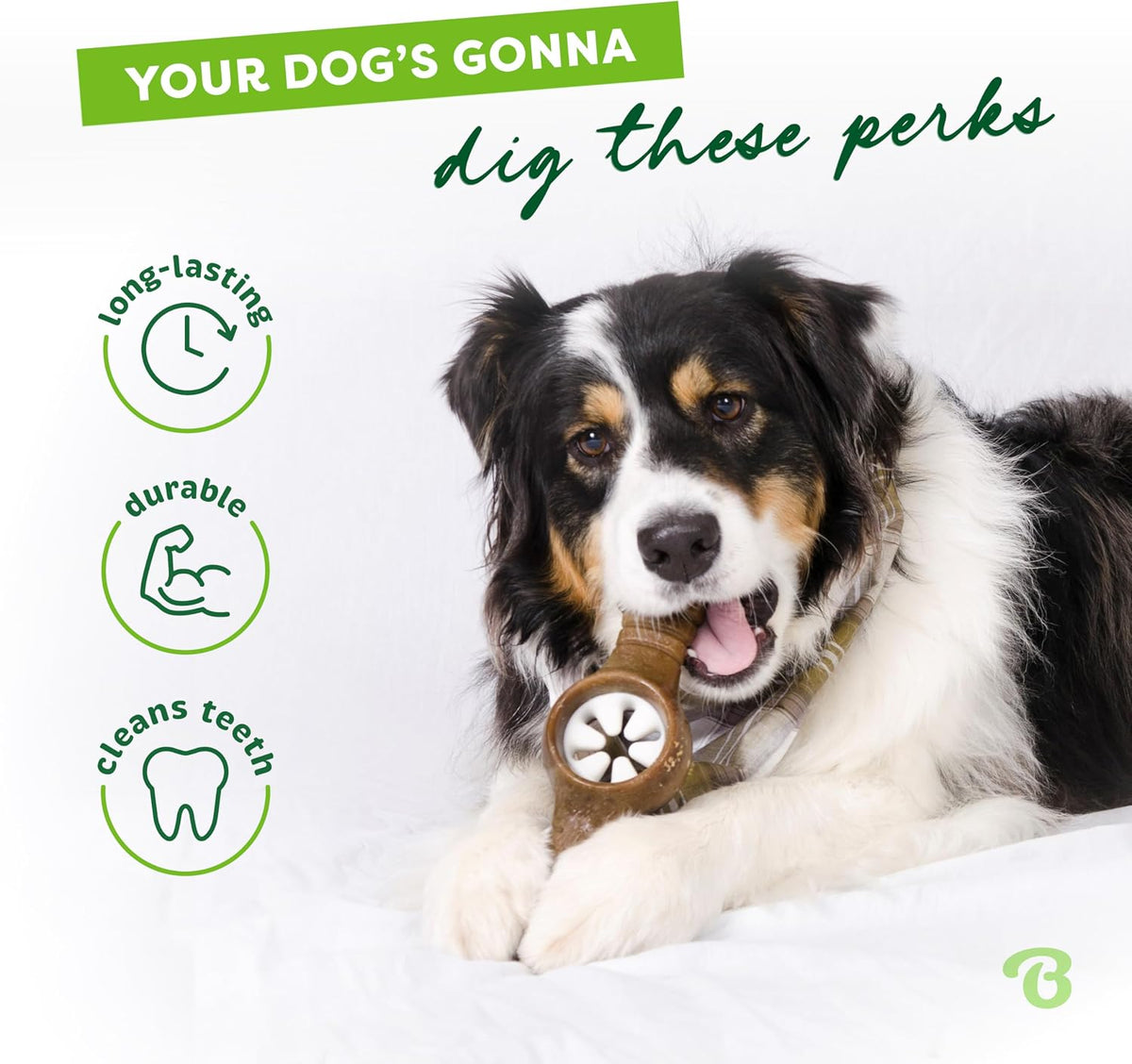 Benebone Pawplexer Bacon Flavored Durable Dog Chew Large