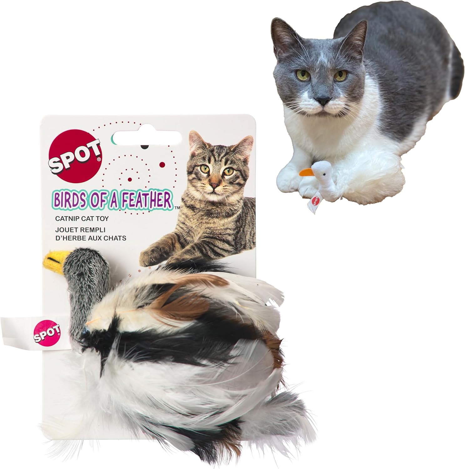 Birds of a Feather Catnip Toy