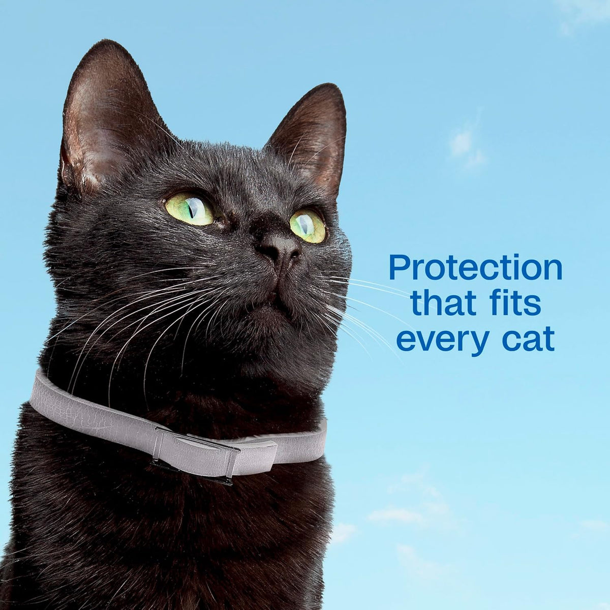 Adams Plus Flea & Tick Collar for Cats Adjustable 1ct