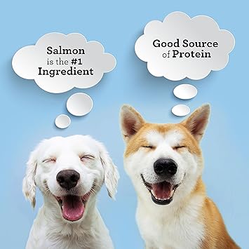 SmartBones Protein Rings with Real Salmon and Chickpeas 10oz