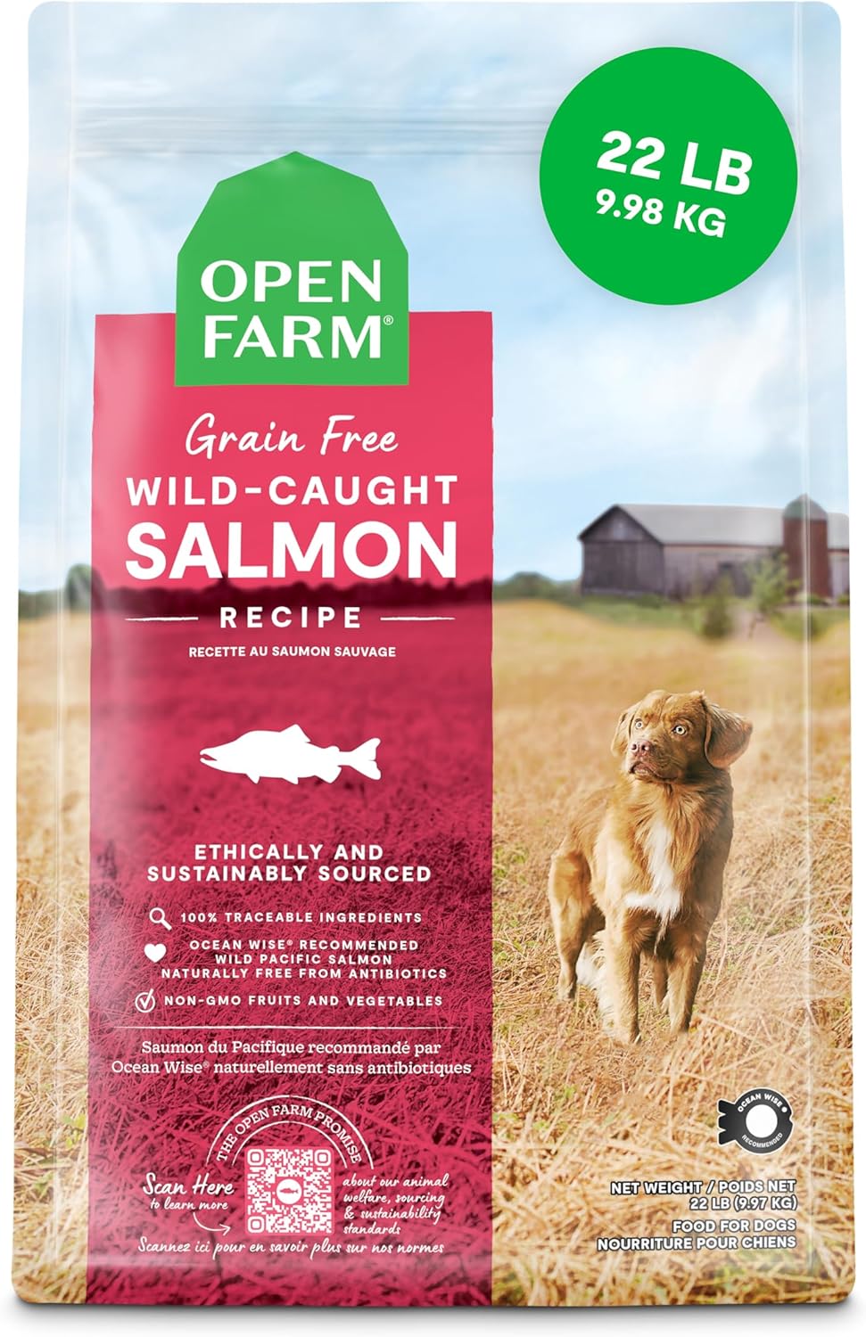 OPEN FARM DOG SALMON GF 22LB