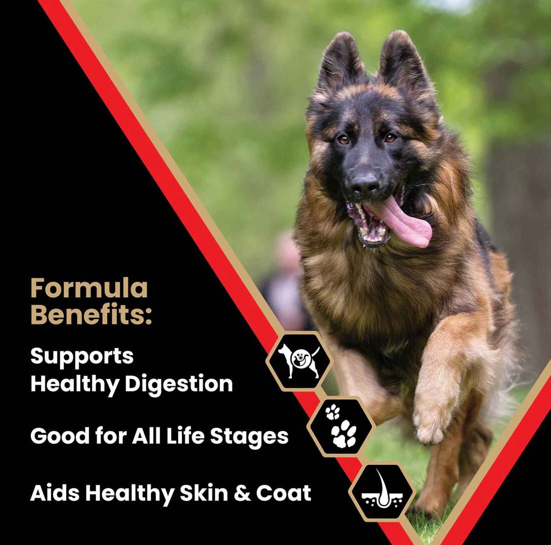 Victor High Energy Dry Dog Food 40lb