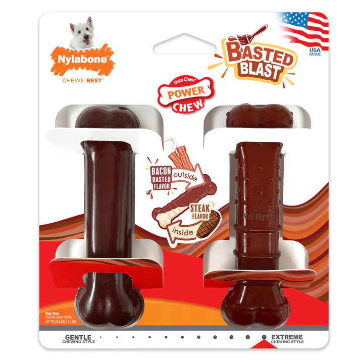 Nylabone Power Blast Sm