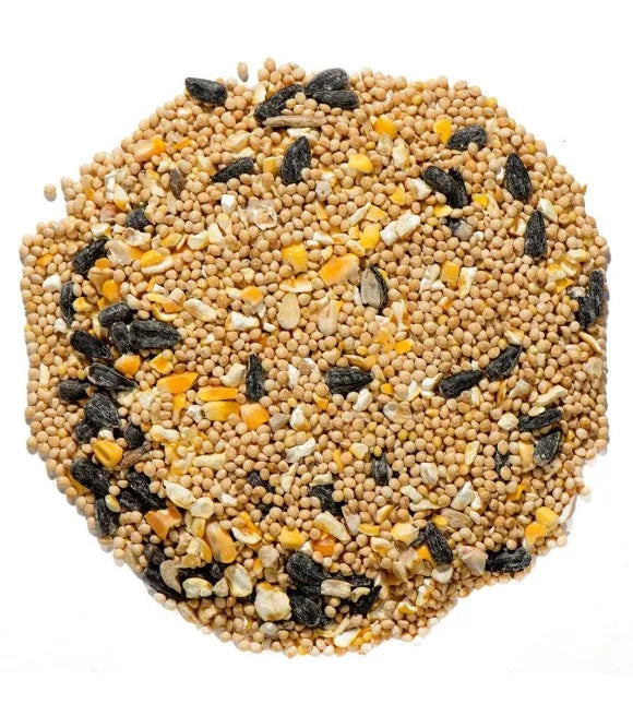 Nature's Nuts Premium Wild Bird Seed, No Milo 5lb