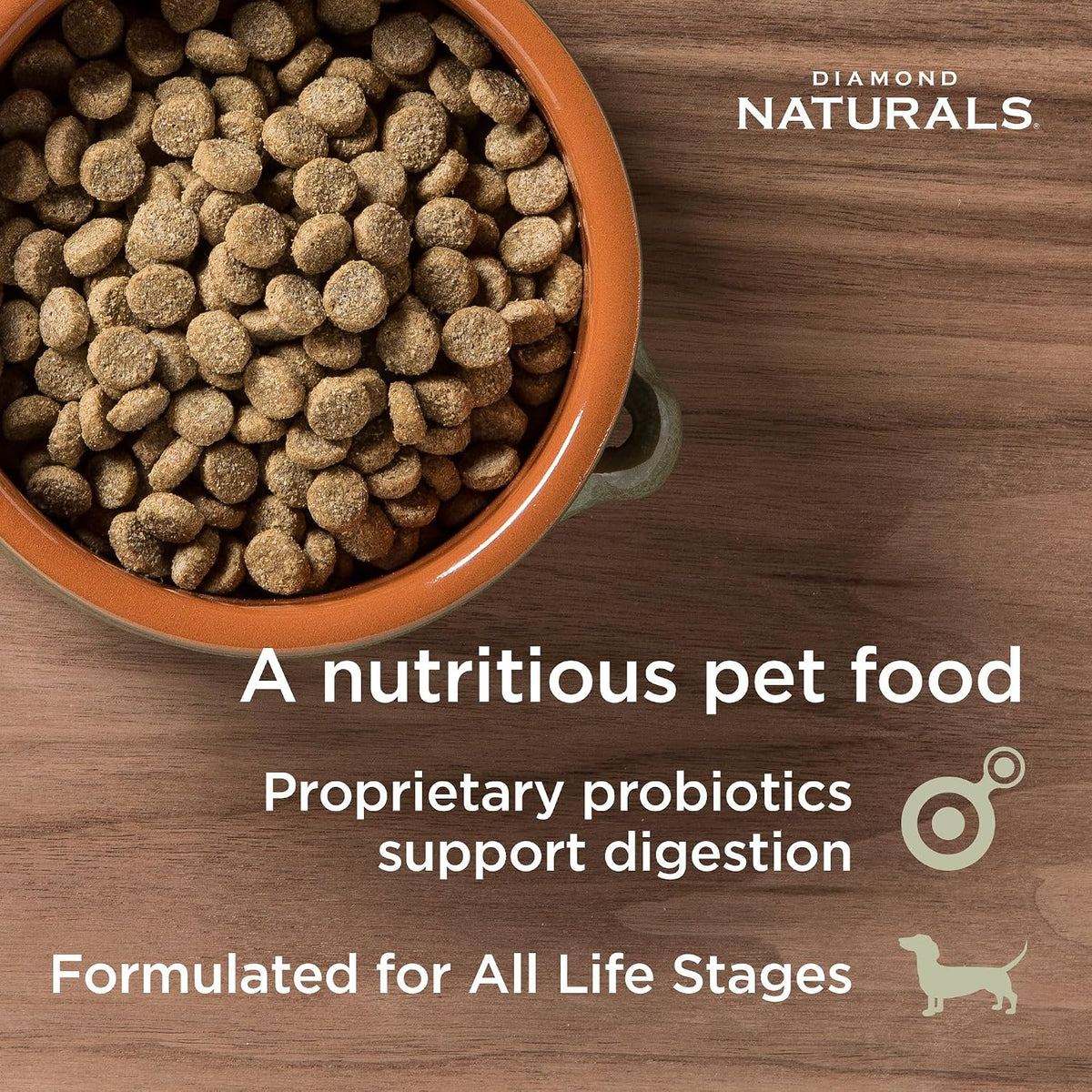 Diamond Naturals Skin & Coat All Life Stages Salmon & Potato Recipe Dry Dog Food 15lb