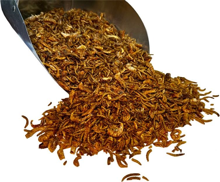 Tillie's Treats SurfNTurf 20oz