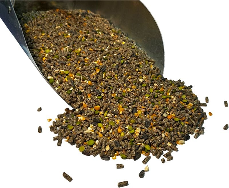 NONGMO LAYER MELODY 40LB