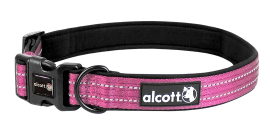 Alcott Adventures Reflective Dog Collar Pink XLarge