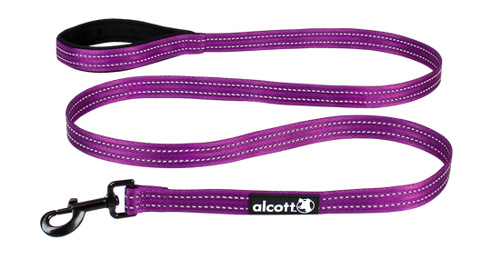 Alcott Adventures Reflective Dog Leash Large Purple