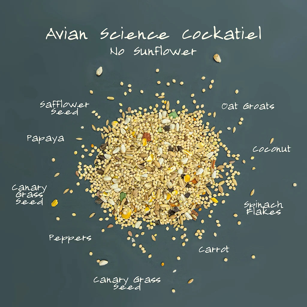Volkman Avian Science Super Cockatiel No Sunflower 4#