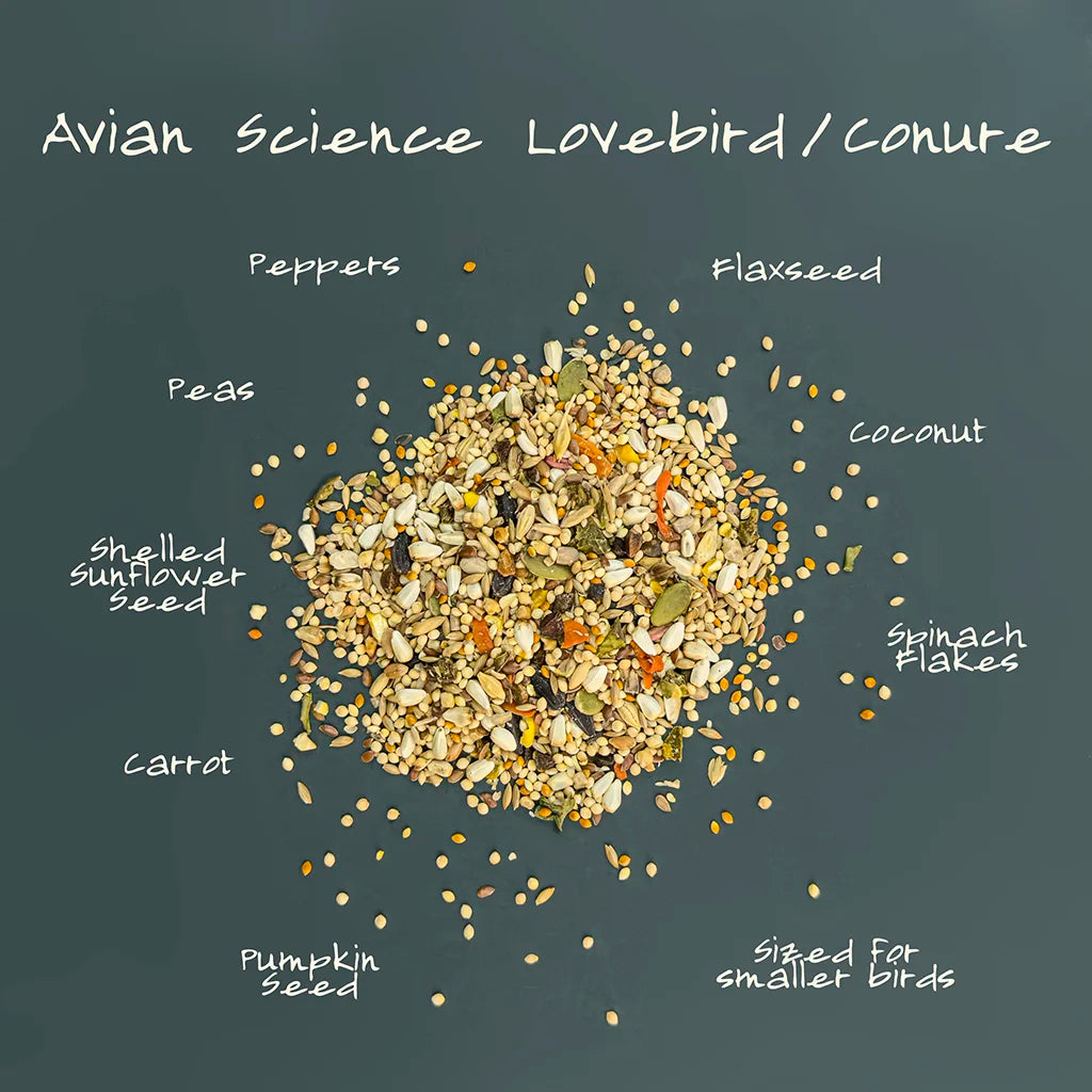 Volkman Avian Science Super Lovebird Conure 20#