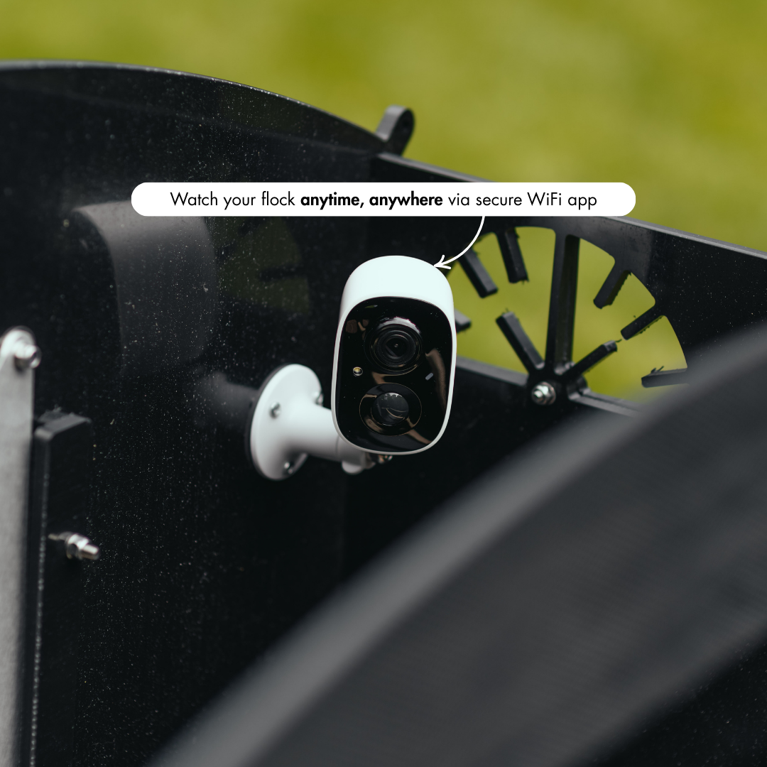 WiFi Camera for Chicken Coop with Solar Panel
