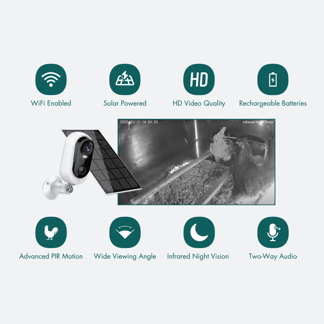 WiFi Camera for Chicken Coop with Solar Panel