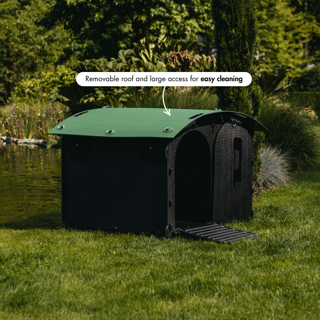 Duck House
