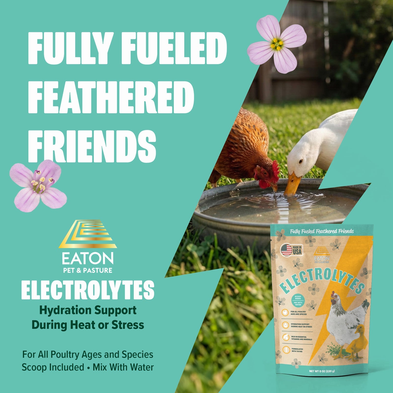 Electrolytes
