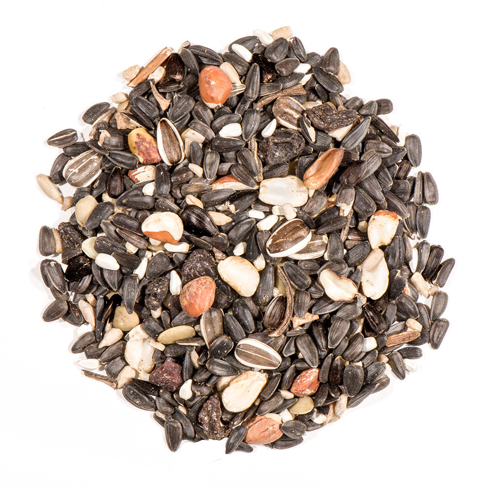 Nature's Nuts Fruit & Berry Songbird Blend 4lb