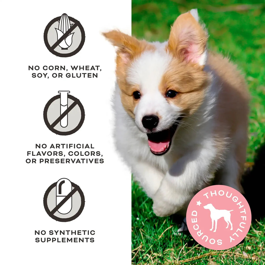 Primal Peelin' Fantastic Freeze-Dried Dog Treats 2oz