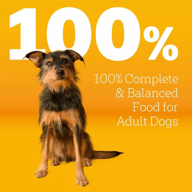 Pedigree Grilled Steak and Vegetable Flavor Adult Dry Dog Food 18lbs