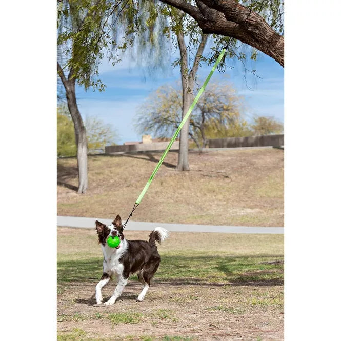 JOLLY PETS TREE TUGGER 4" GR