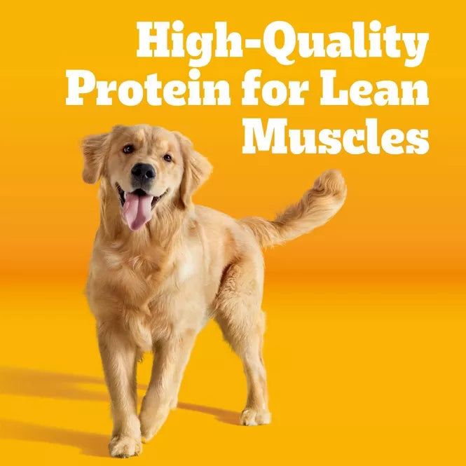 Pedigree Grilled Steak and Vegetable Flavor Adult Dry Dog Food 18lbs