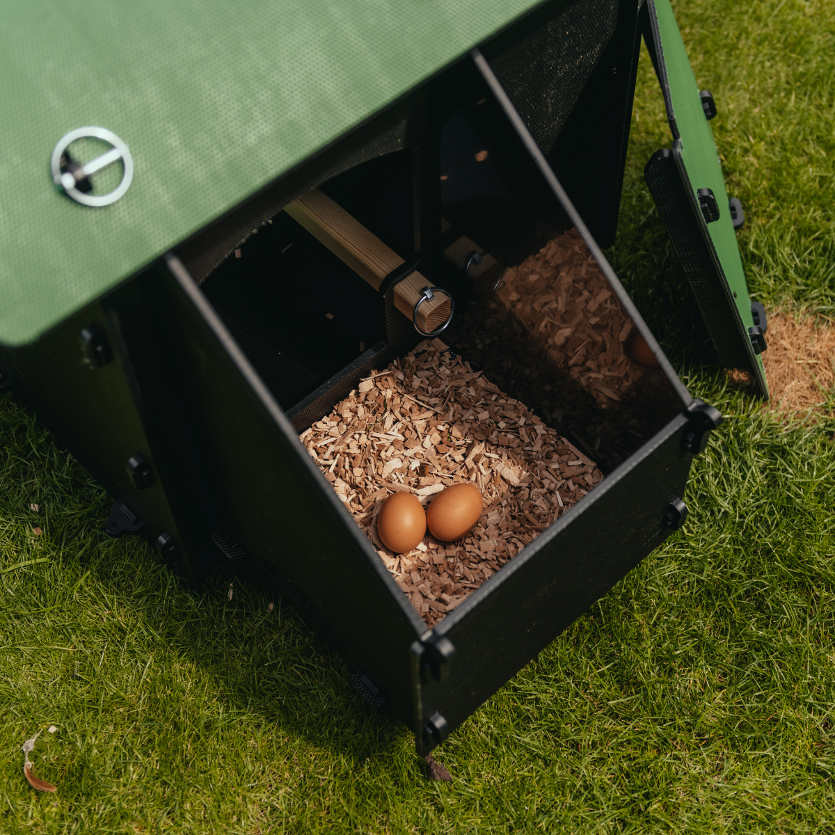 Chicken Coop