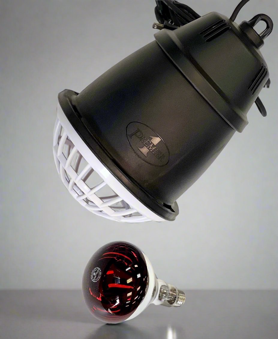 Prima Heat Lamp w/ Infrared Bulb