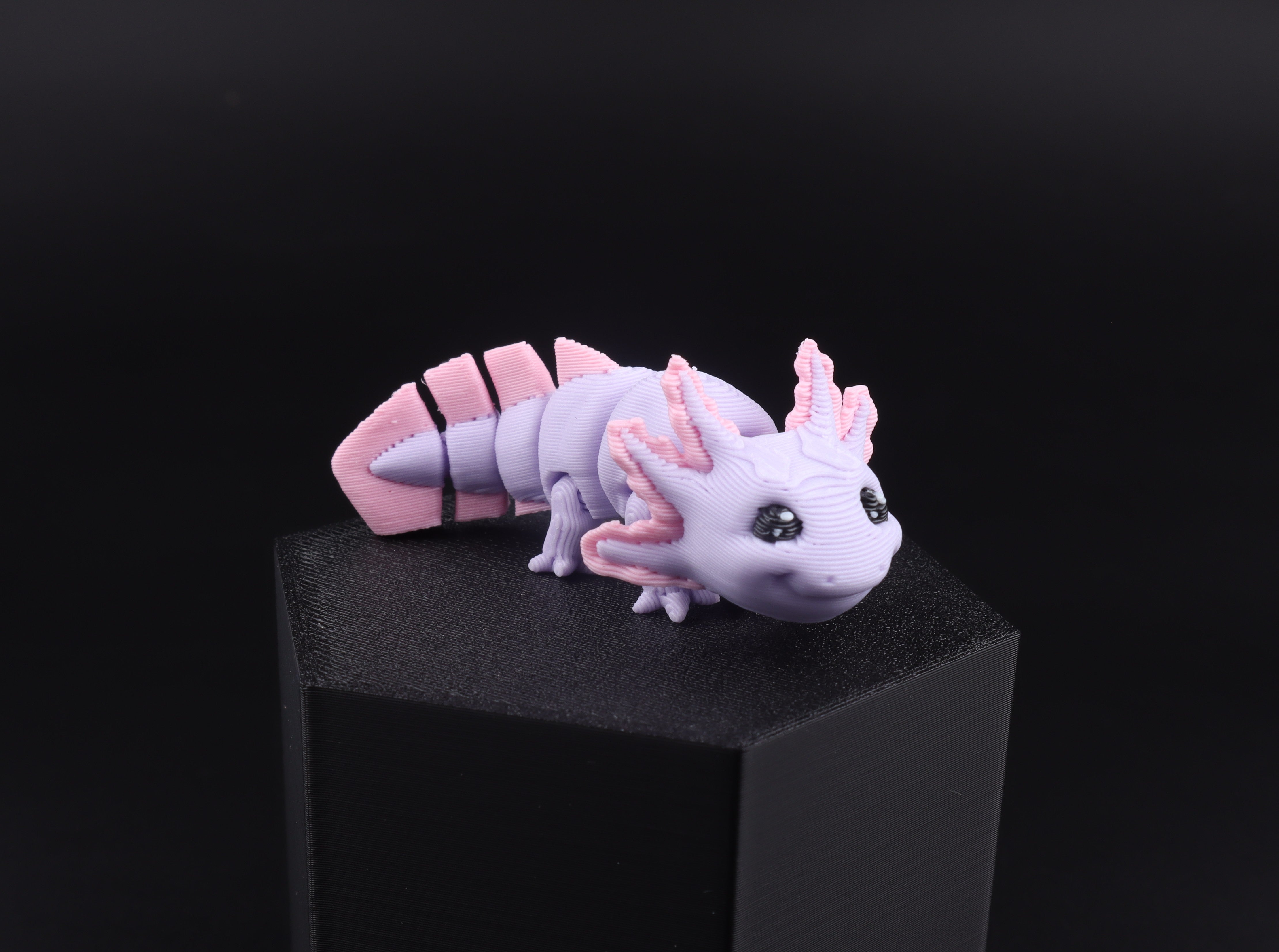 3D Printed Mini Reptile and Amphibian Fidget Toy Set – Articulated Classroom Reward Gift
