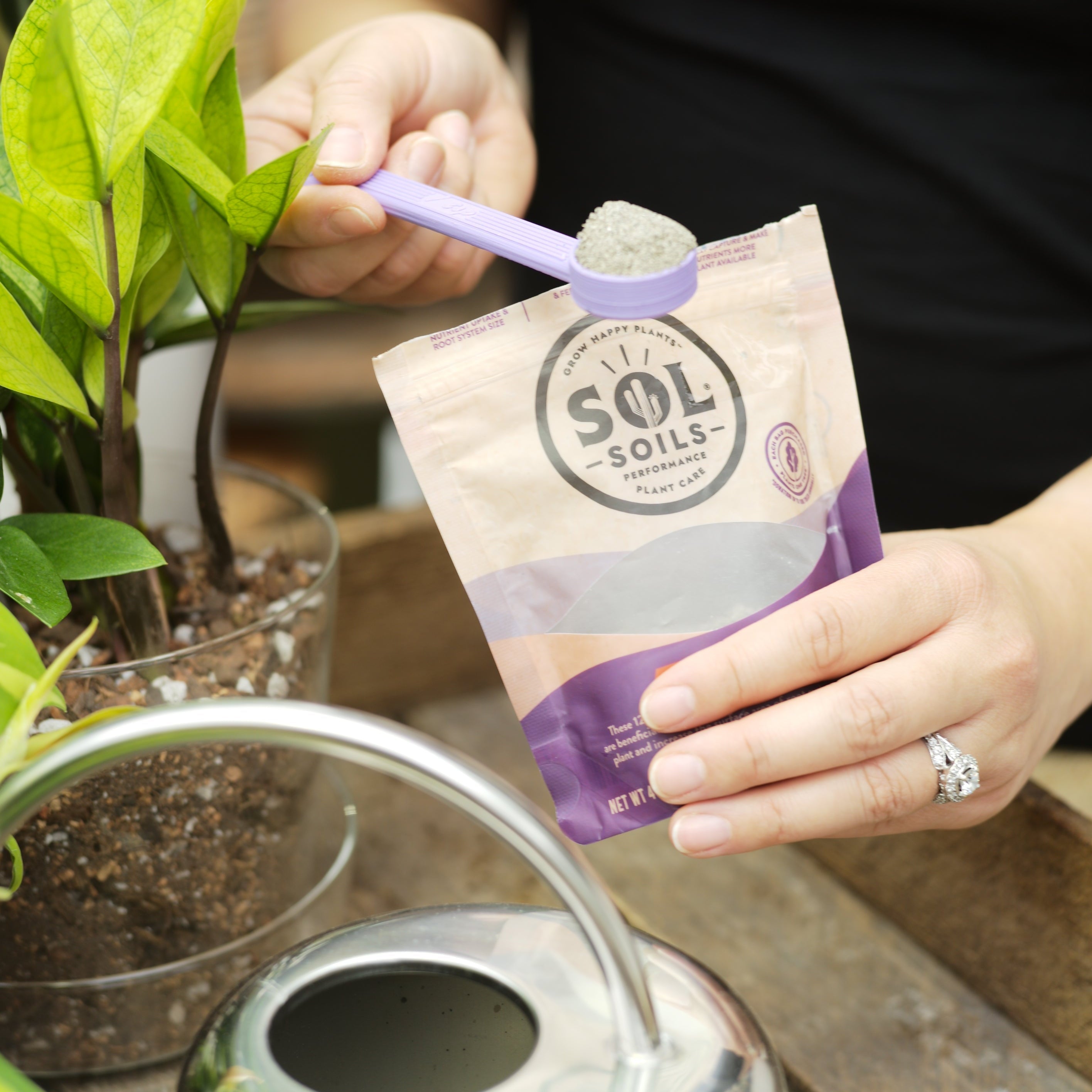 Sol Biotics - Repot Recovery - Repotting Shock Treatment (a Planti-Depressant, if you will…)