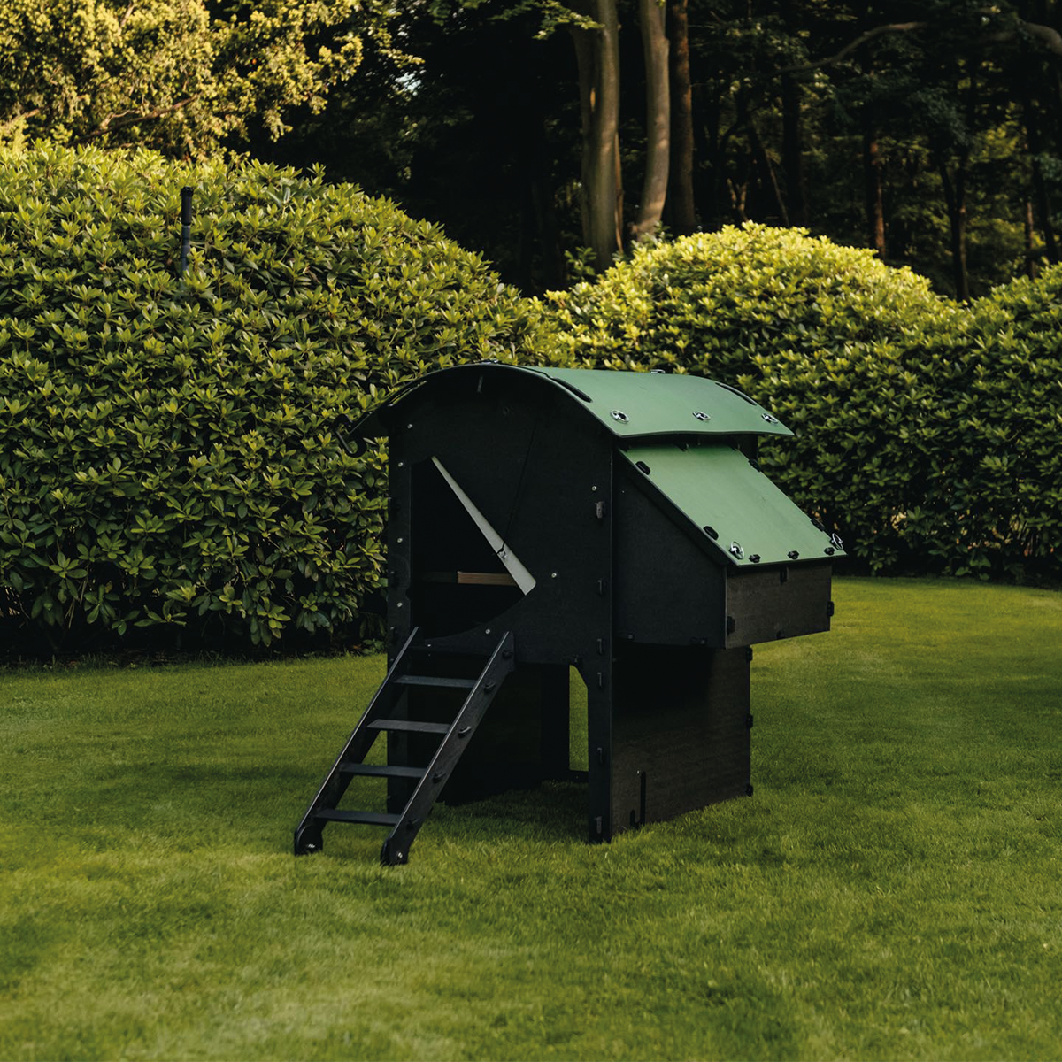Chicken Coop
