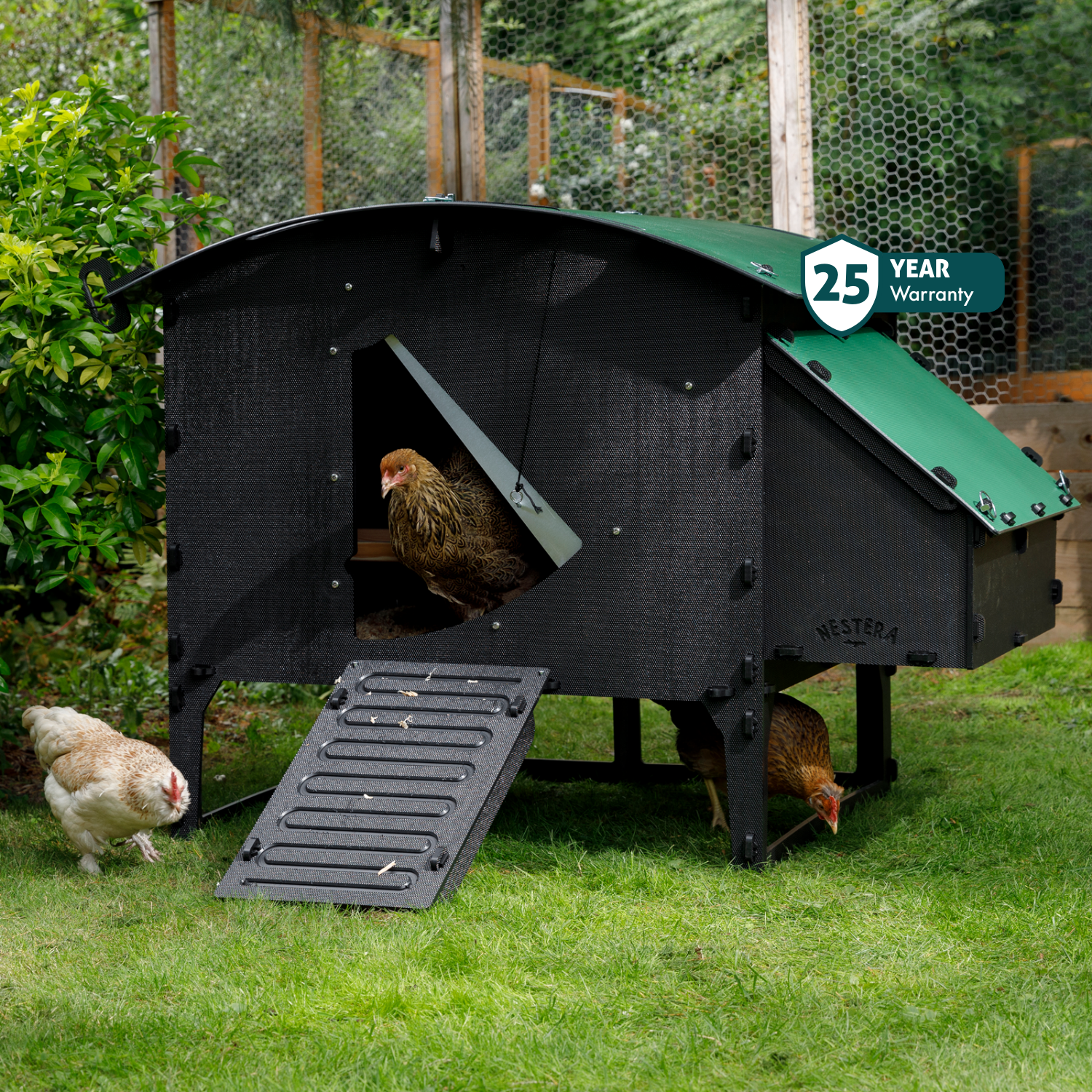 Chicken Coop