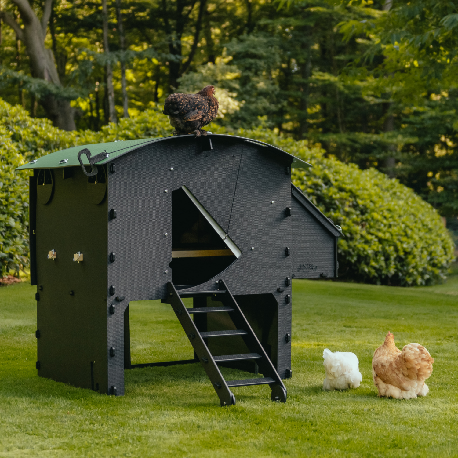 Chicken Coop