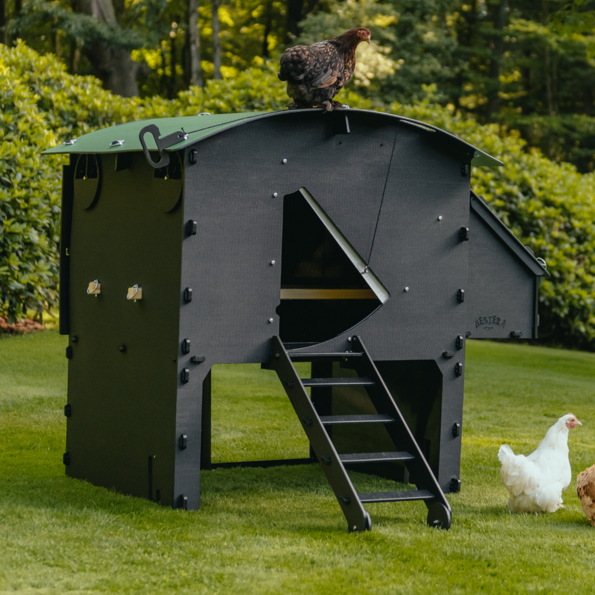Chicken Coop
