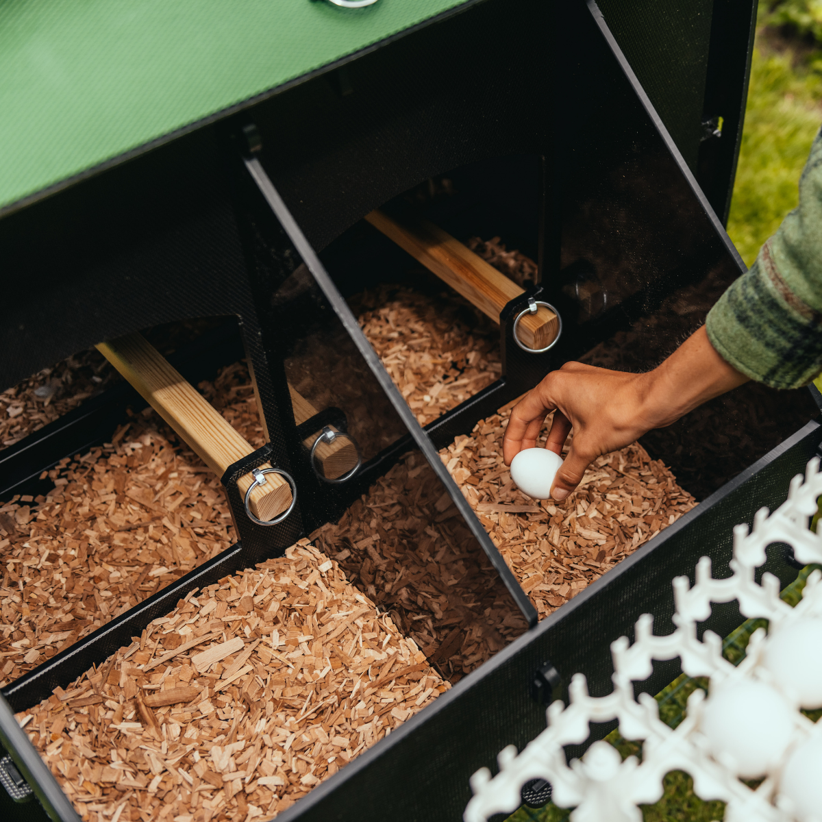 Chicken Coop