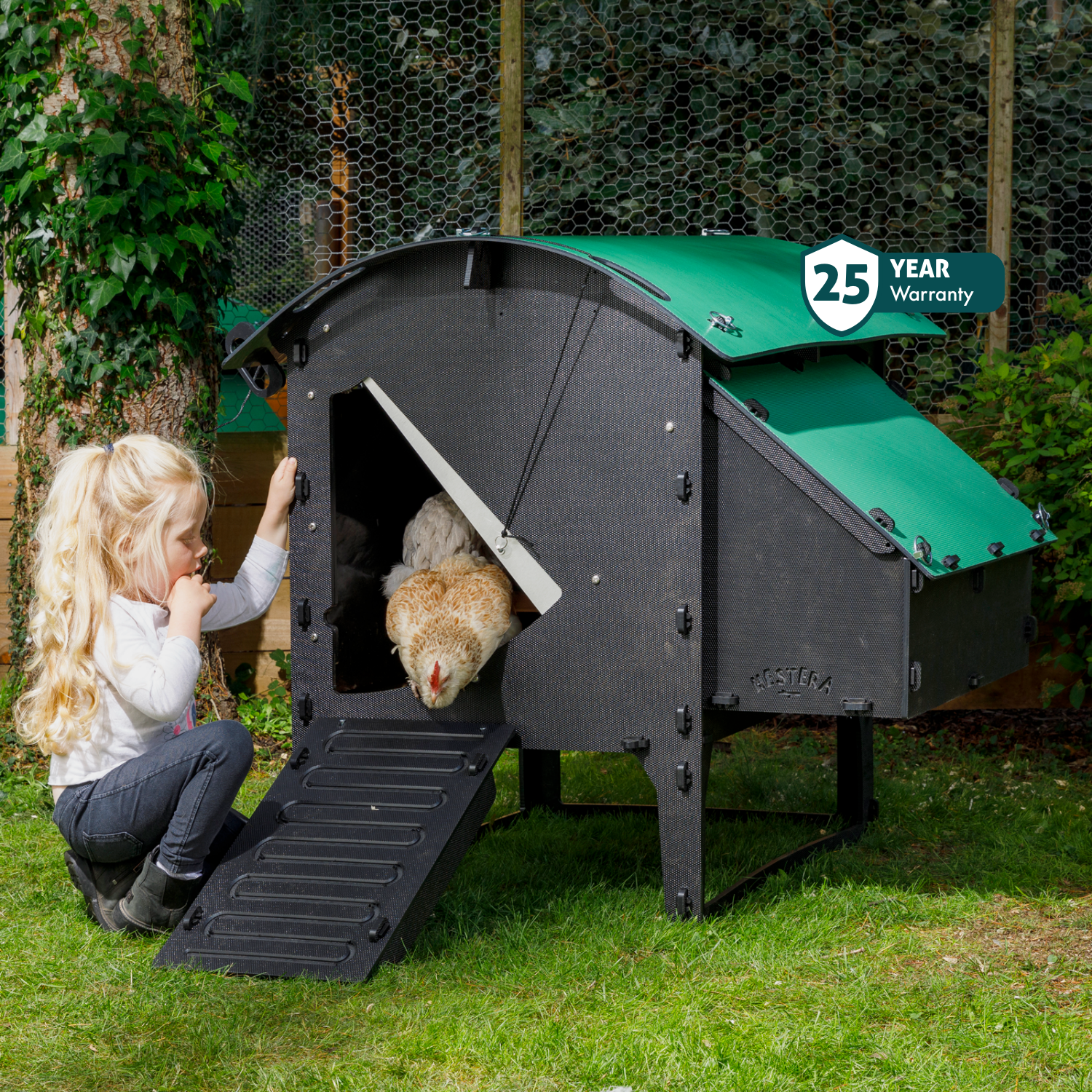 Chicken Coop