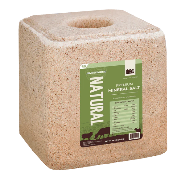 REDMOND TRACE MINERAL BLOCK 44