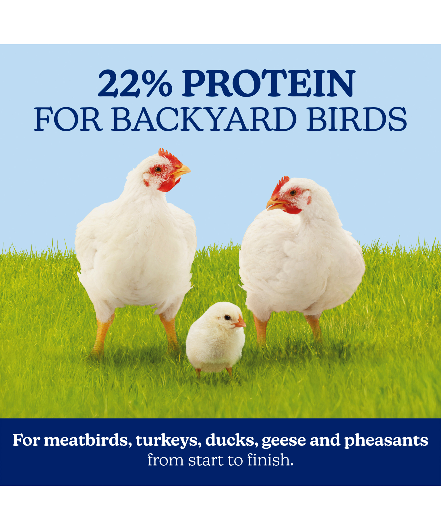 Nutena NatureWise Meatbird Start to Finish 22% Crumble 40lb