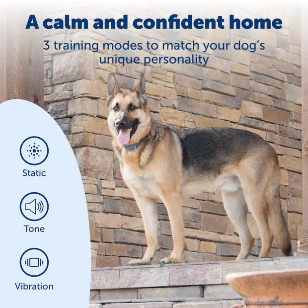 PetSafe Smart Dog Remote Trainer 75 yards