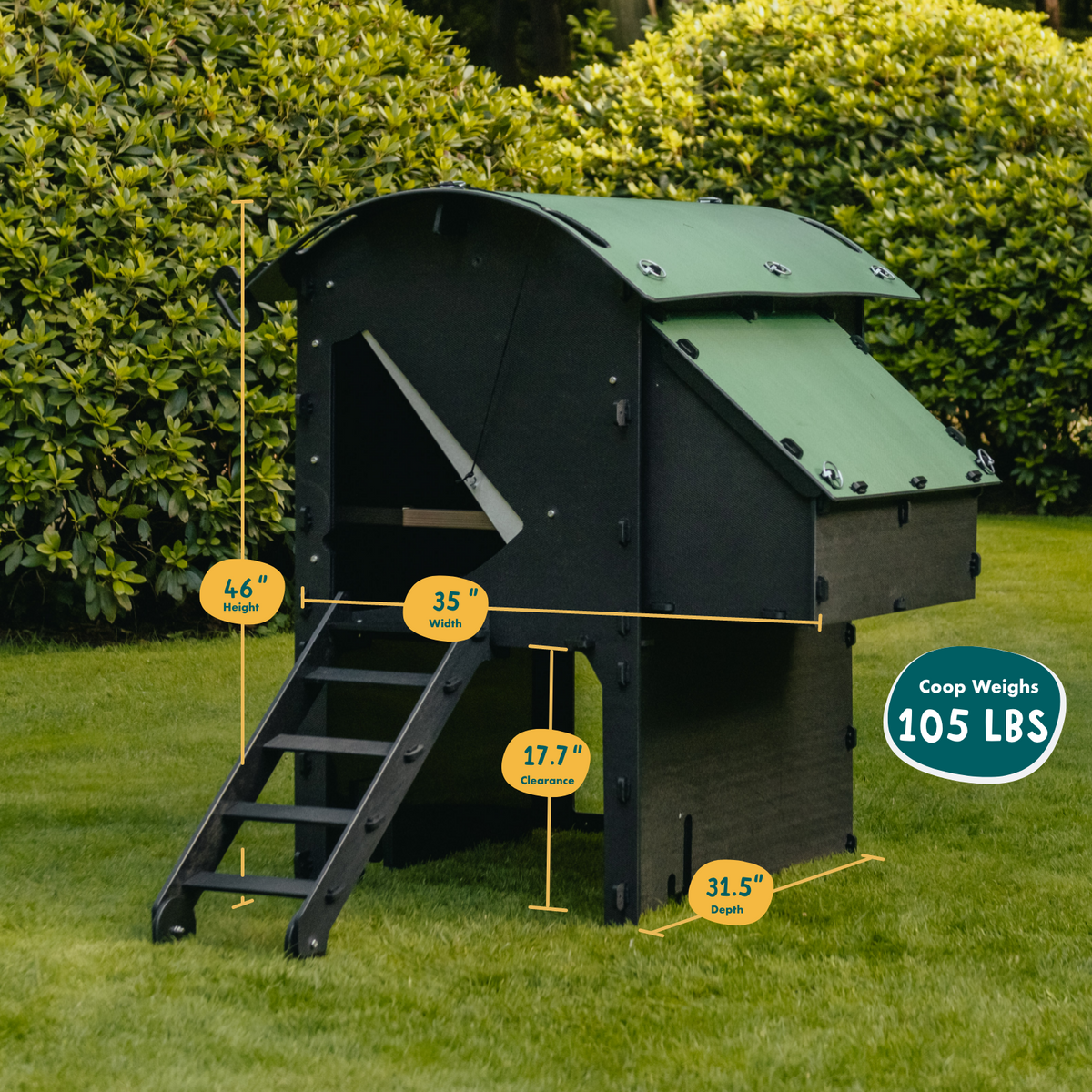 Chicken Coop