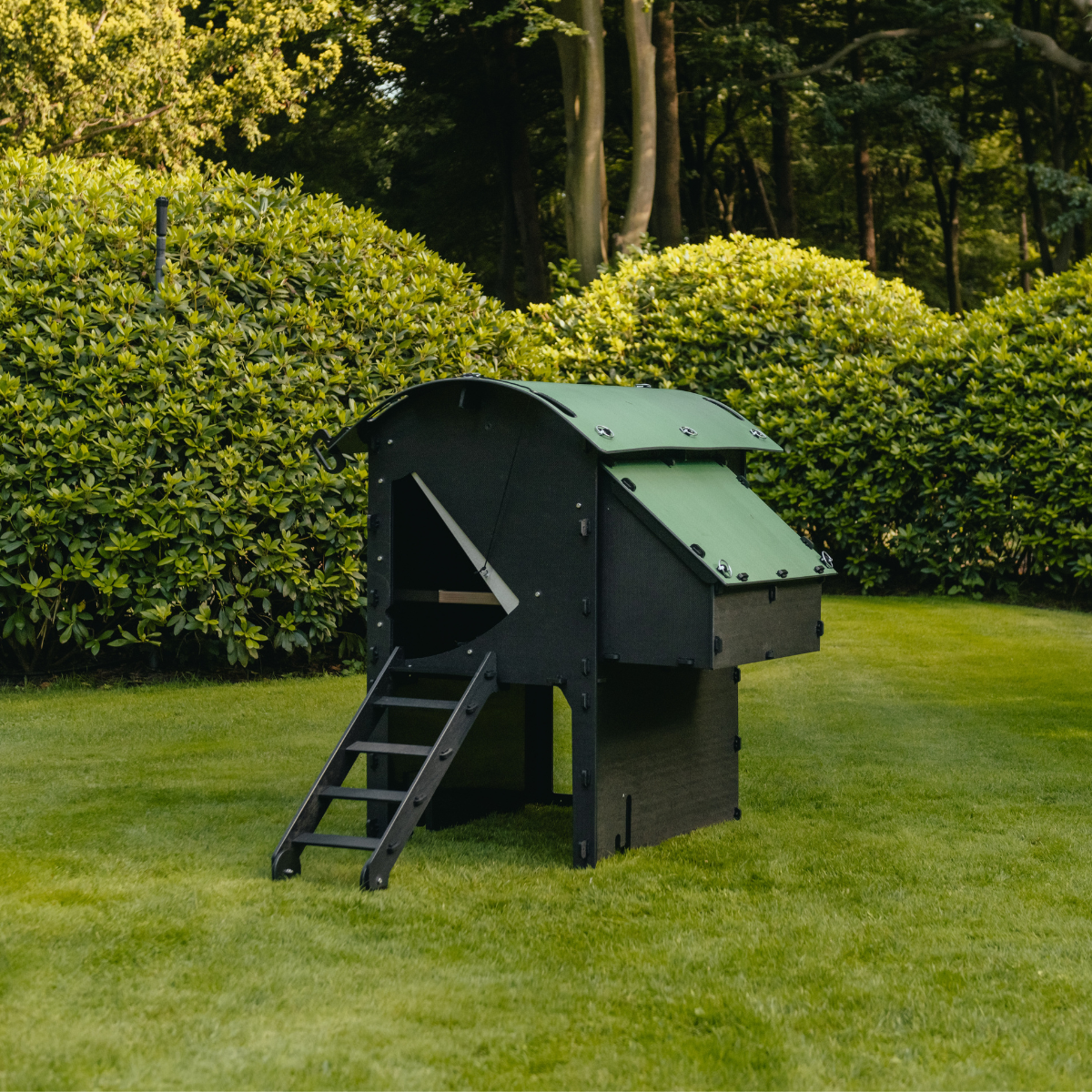 Chicken Coop
