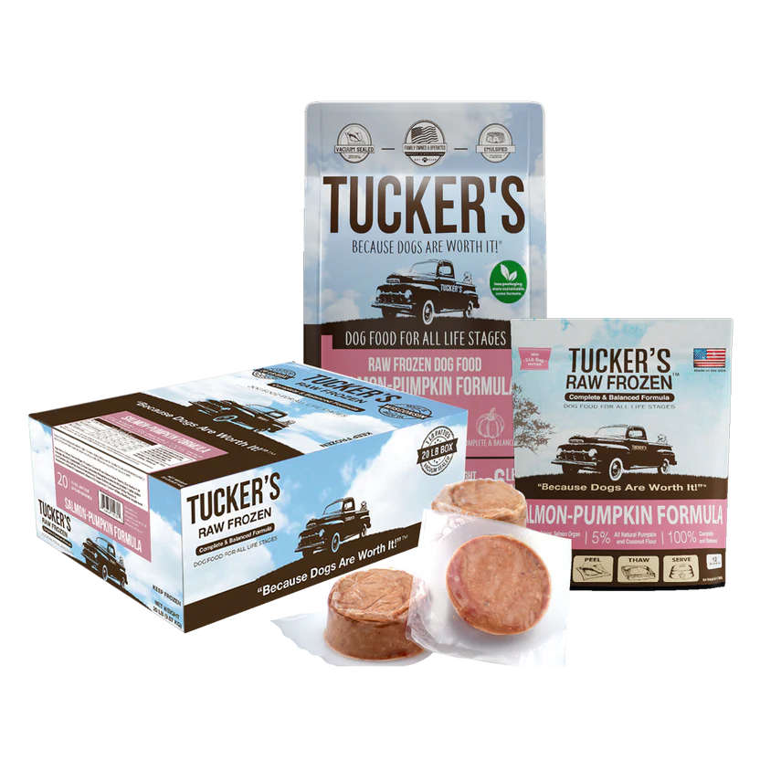 Tuckers FROZEN RAW SALMON-PUMPKIN dog 20 LBS