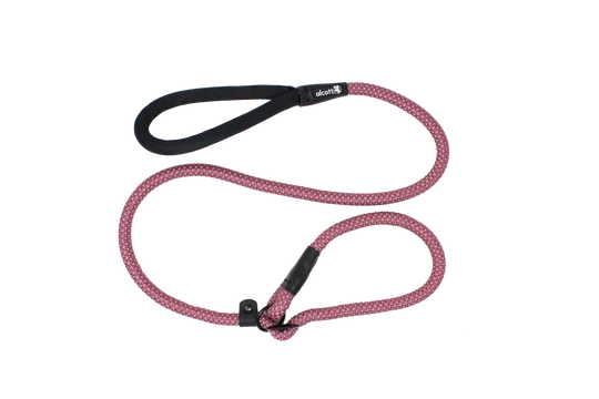 Alcott Adventures Slip Rope Dog Leash Red Large/X-Large