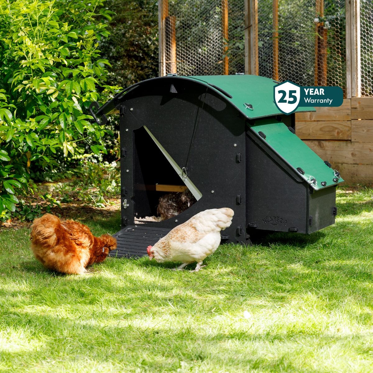 Chicken Coop