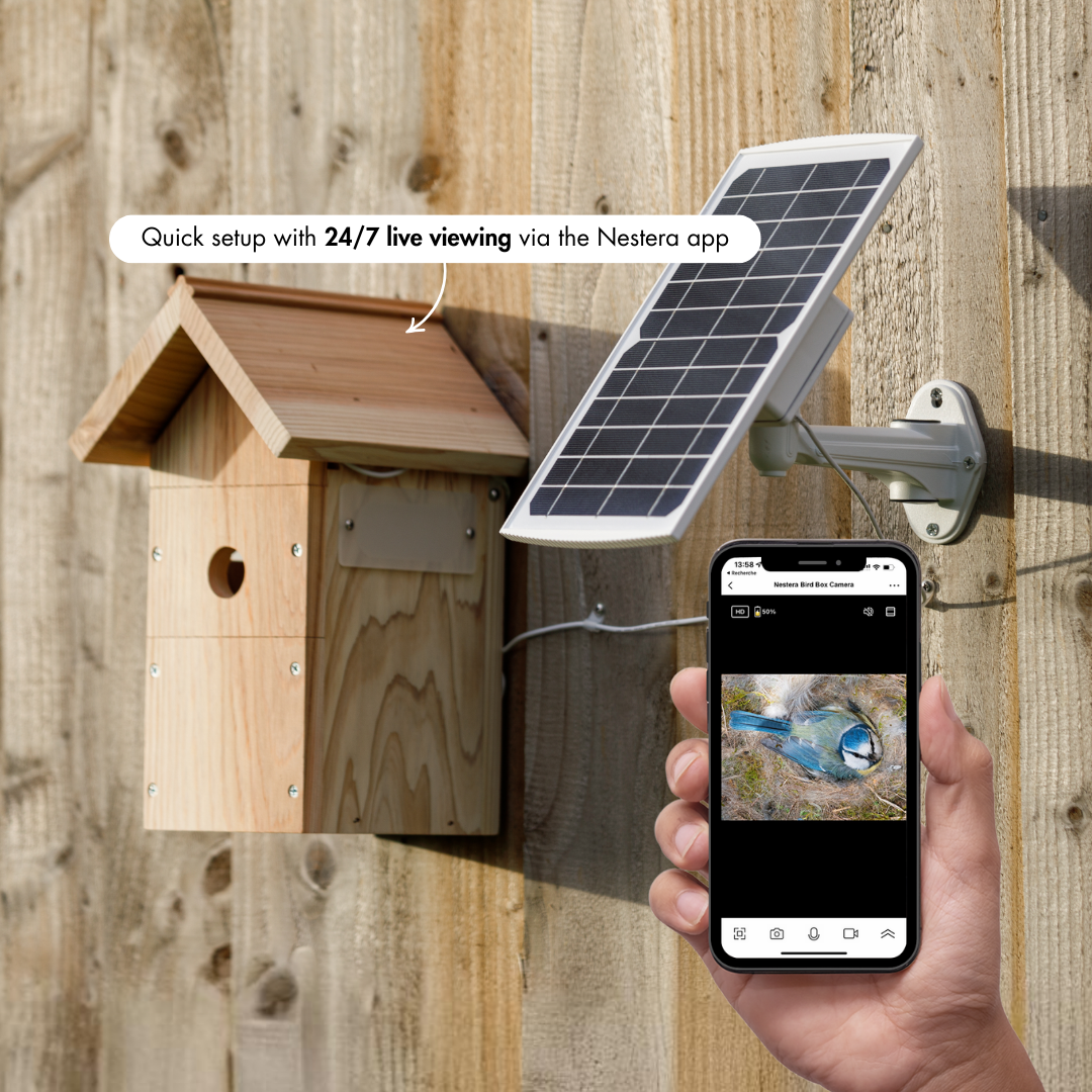 WiFi Battery Bird House Camera with Solar Panel