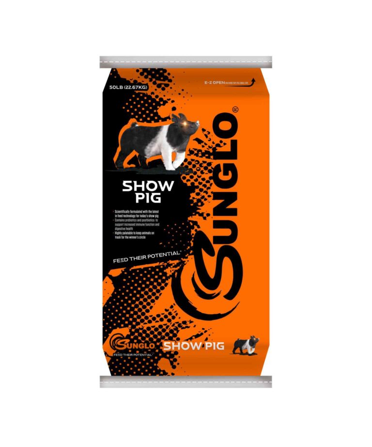 SUNGLO SHOW PIG COAST 50