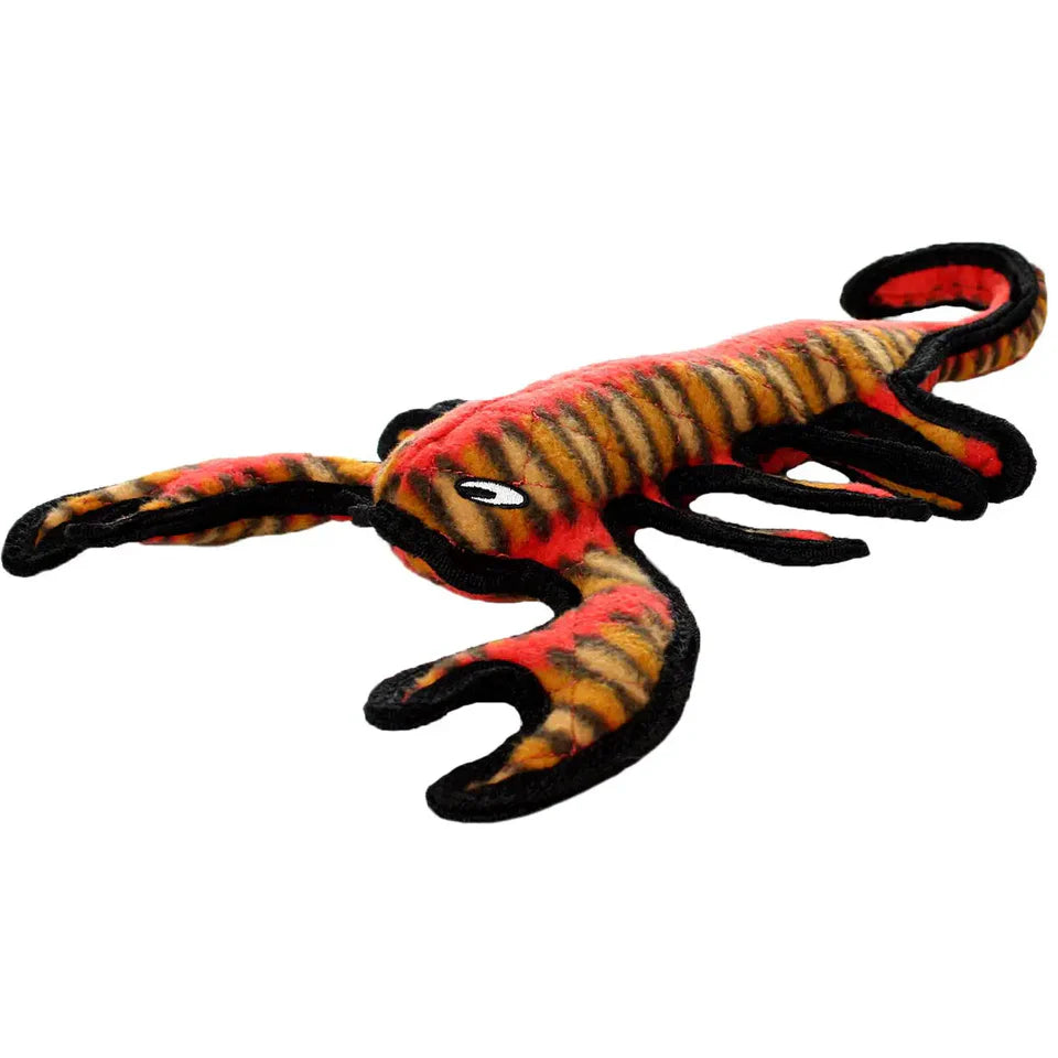 TUFFIE'S DESERT SCORPION