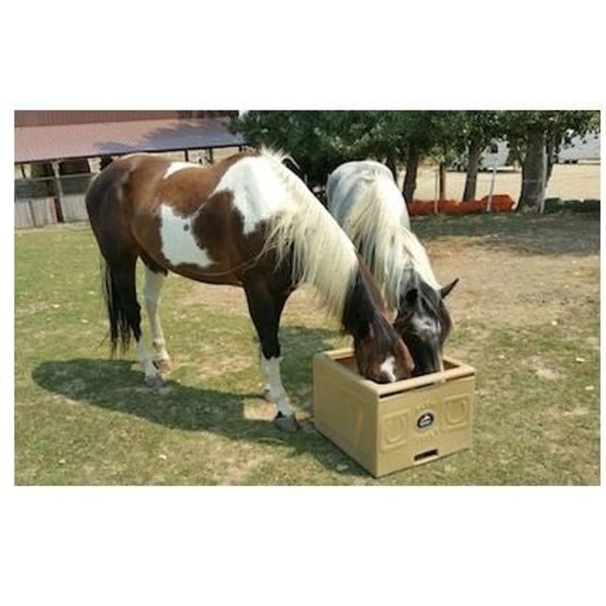 High Country Plastic Slow Feeder Jr
